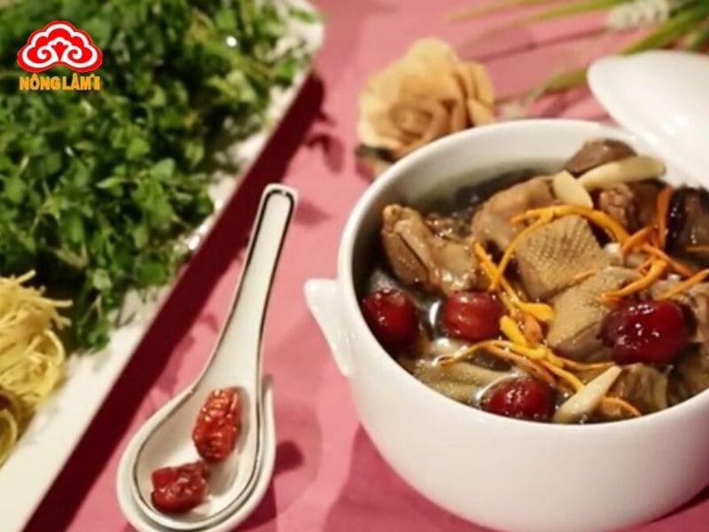 Đông Trùng Hạ Thảo Chống Mệt Mỏi, Suy Nhược Hiệu Quả 10 Hầm đông trùng hạ thảo với thịt