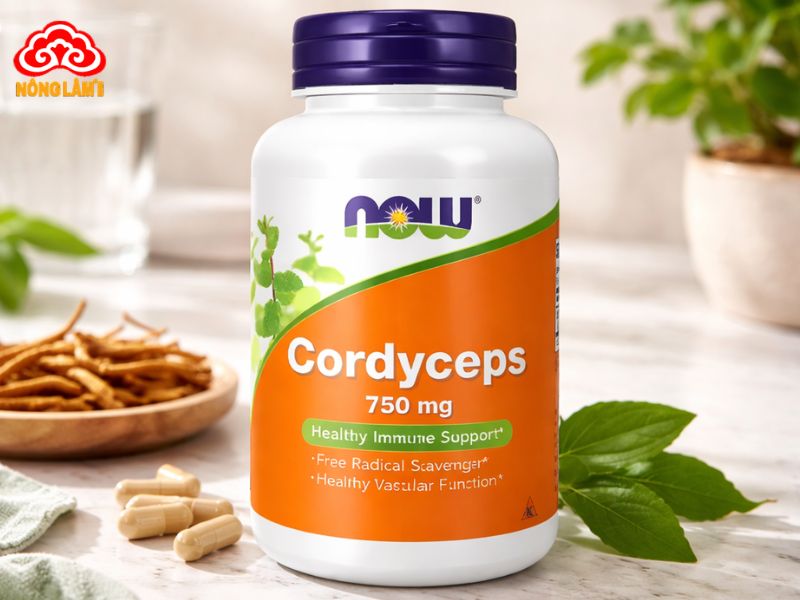 Đông Trùng Hạ Thảo Usa Mỹ: Nguồn Gốc, Sản Phẩm &Amp; Giá Bán 11 Viên uống now cordyceps 750mg