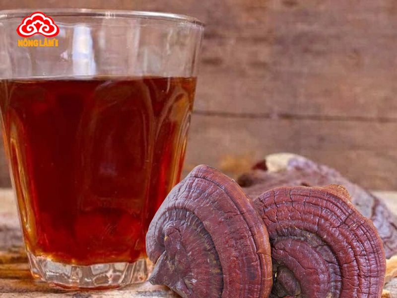 Nước nấm linh chi cho bà bầu
