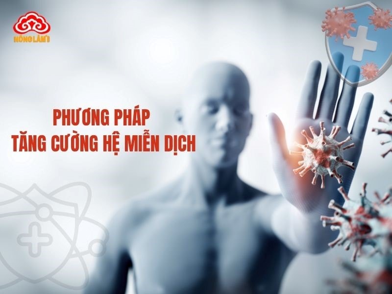 Tổng Hợp Cách Tăng Sức Đề Kháng, Hệ Miễn Dịch Đầy Đủ Nhất 8 Tổng hợp các phương pháp tăng cường miễn dịch cho cơ thể