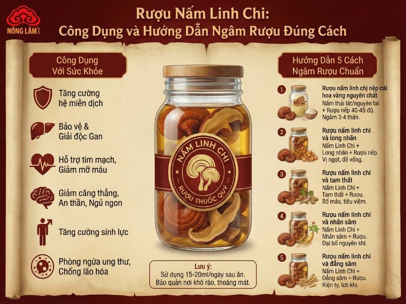 Rượu Rấm Linh Chi: Công Dụng Và Hướng Dẫn Ngâm Rượu Đúng Cách 8 Rượu nấm linh chi: lợi ích & hướng dẫn cách ngâm chuẩn