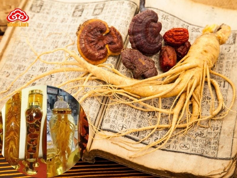 Rượu nấm linh chi nhân sâm