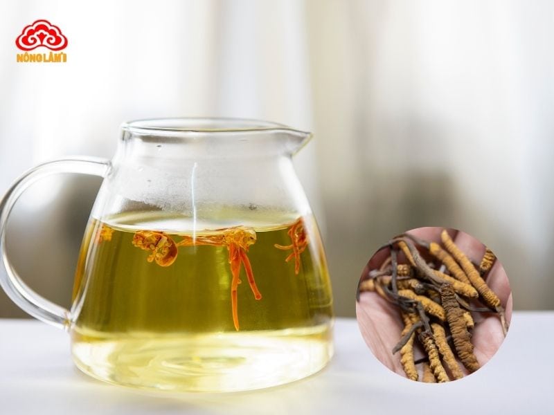 Sử dụng đông trùng hạ thảo đúng cách tránh tác dụng phụ