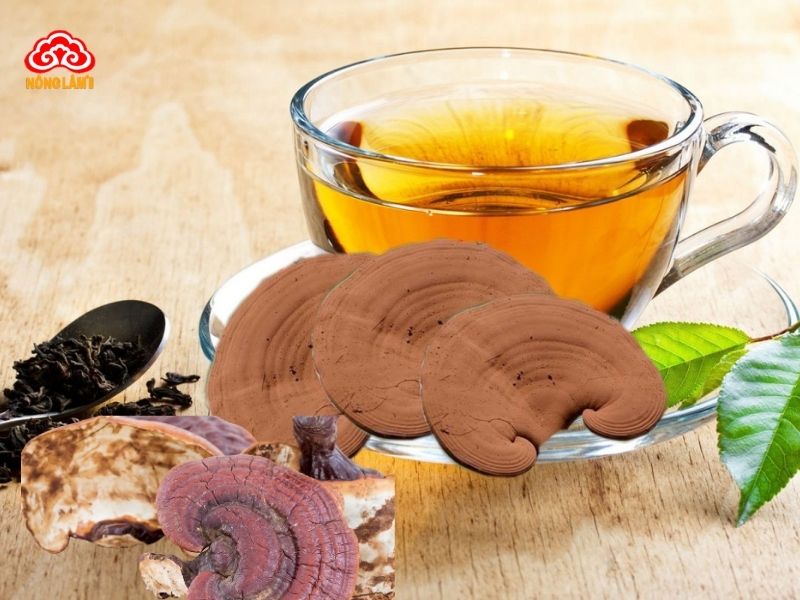 Nước nấm linh chi tốt cho hệ tim mạch