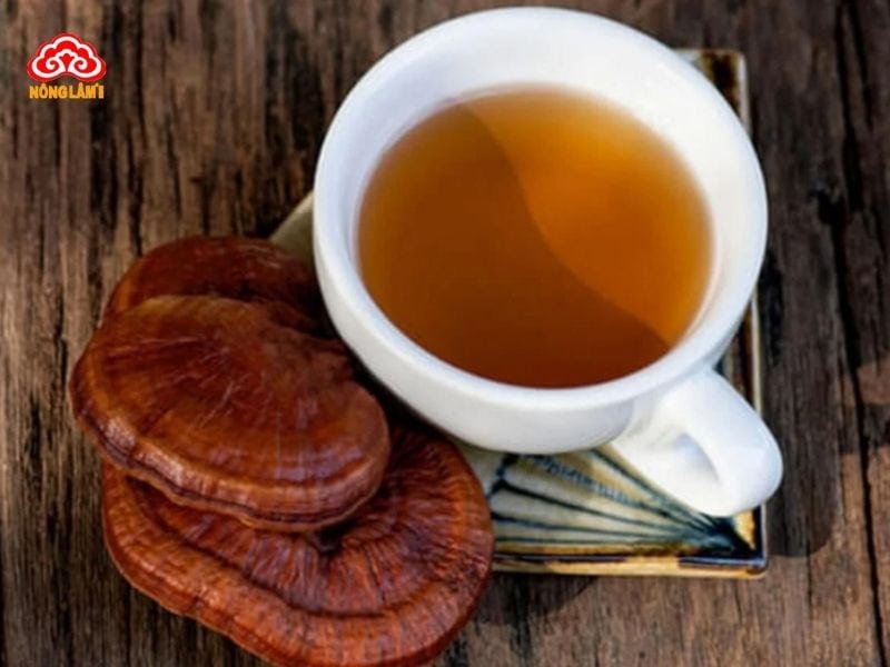 Tác Dụng Của Nấm Linh Chi Với Bệnh Đau Dạ Dày 10 Sử dụng nấm linh chi để chữa đau dạ dày