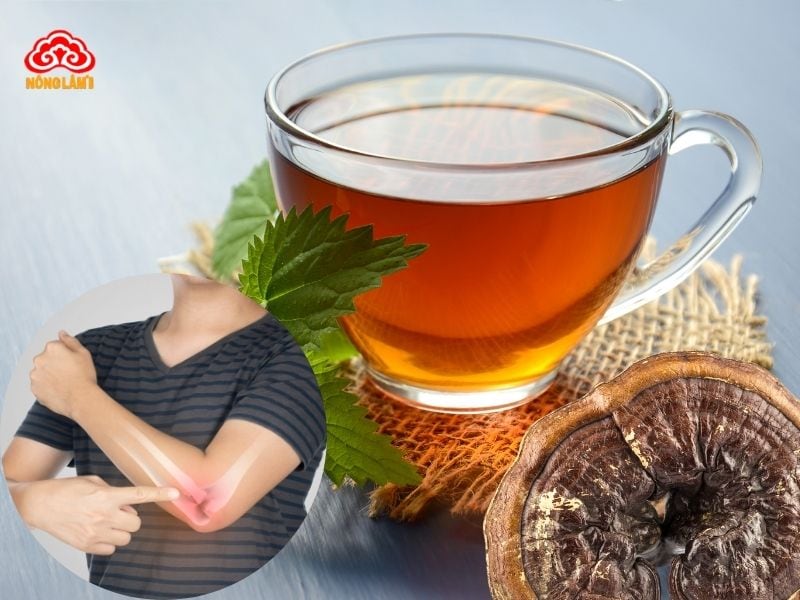 Sử dụng nấm linh chi chữa đau nhức xương khớp hiệu quả