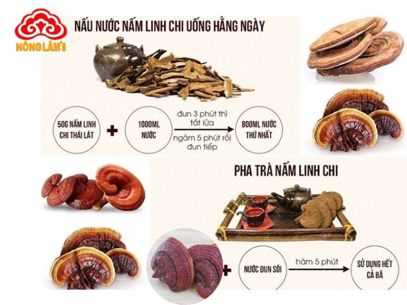 Germanium Hữu Cơ: Thành Phần Quan Trọng Của Nấm Linh Chi 12 Sử dụng nấm linh chi bảo toàn và hấp thu tối đa germanium hữu cơ