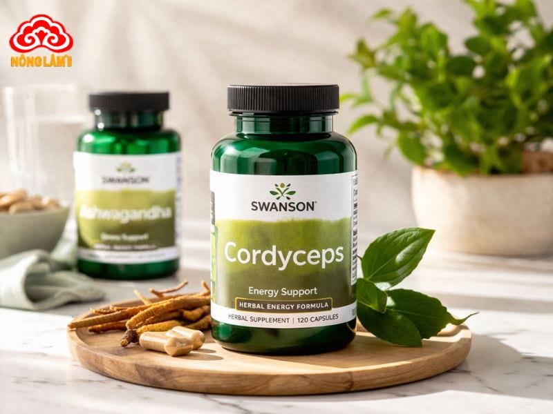 Đông Trùng Hạ Thảo Usa Mỹ: Nguồn Gốc, Sản Phẩm &Amp; Giá Bán 13 Swanson cordyceps & pure cordyceps