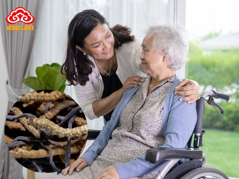 Tác dụng của đông trùng hạ thảo đối với sức khỏe phụ nữ khi về già