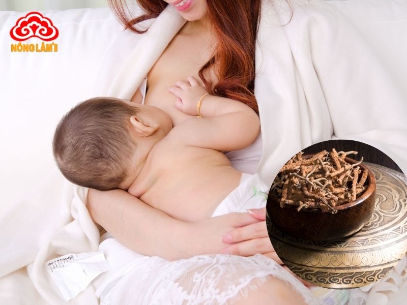 Tác dụng tuyệt vời của đông trùng hạ thảo với phụ nữ 2
