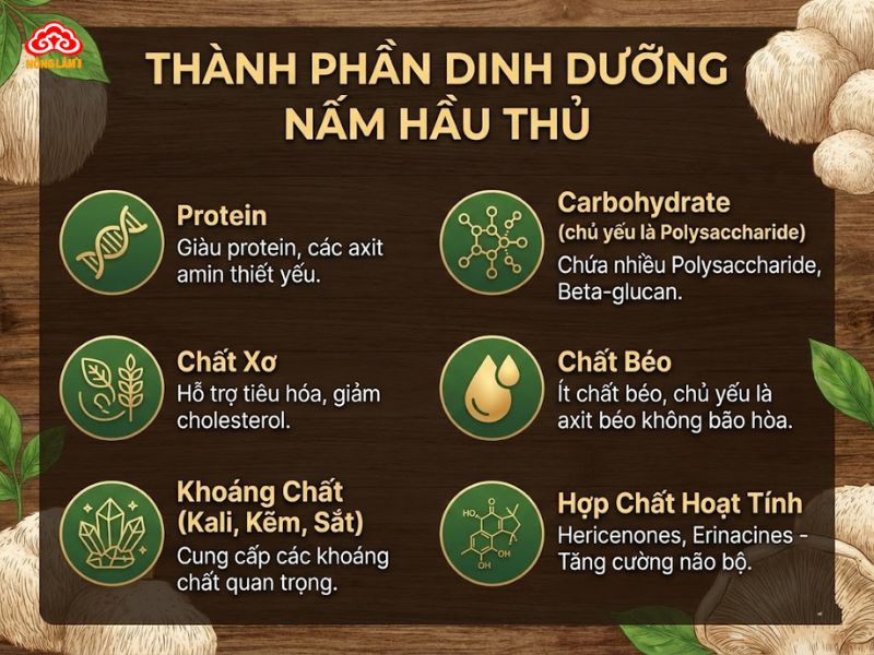 Nấm Hầu Thủ: Giá Trị Dinh Dưỡng, Công Dụng &Amp; Cách Dùng 9 Giá trị dinh dưỡng của nấm hầu thủ