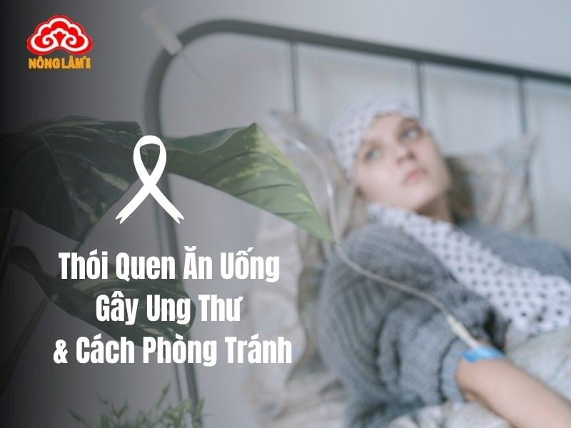 Những Thói Quen Ăn Uống Gây Ung Thư Và Cách Phòng Tránh 14 Thói quen ăn uống gây ung thư và cách phòng tránh