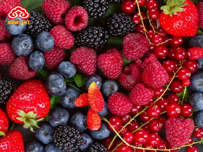 Những Thói Quen Ăn Uống Gây Ung Thư Và Cách Phòng Tránh 23 Các chất chống oxy hóa (vitamin c, e, polyphenol) và khả năng bảo vệ tế bào