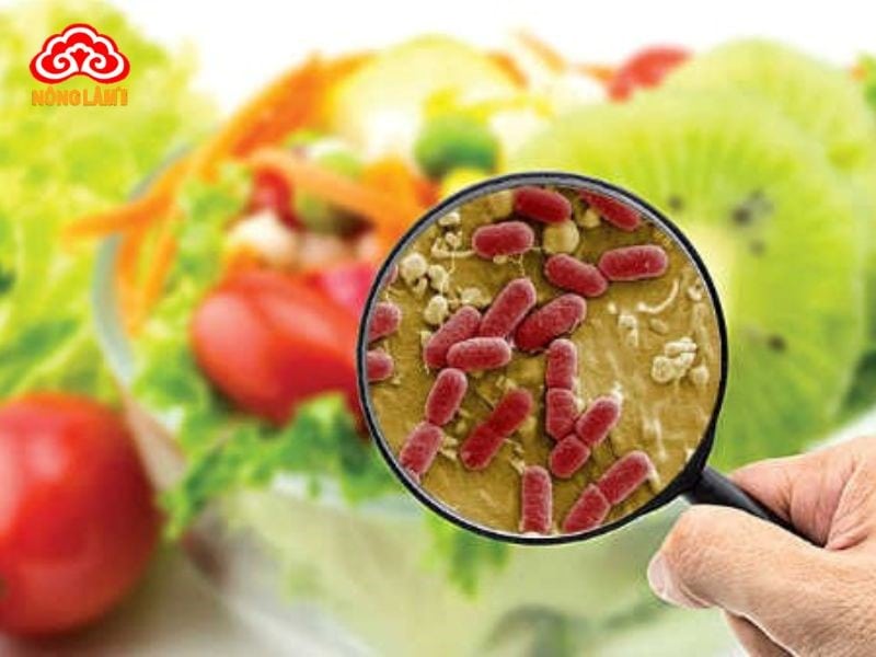 Những Thói Quen Ăn Uống Gây Ung Thư Và Cách Phòng Tránh 19 Nguy cơ từ thực phẩm bị ô nhiễm