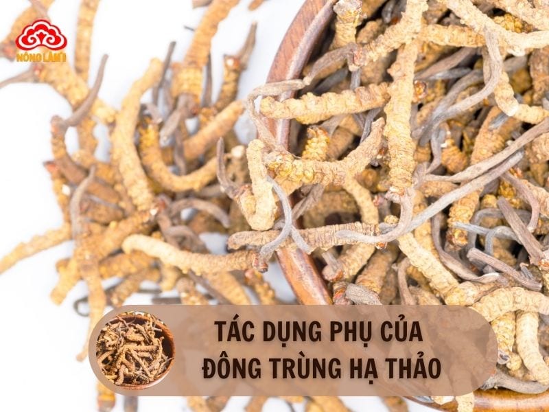 Tác dụng phụ của đông trùng hạ thảo