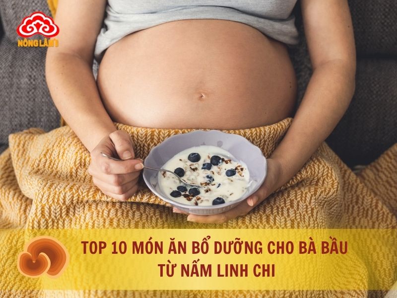 Top những món ăn bổ dưỡng cho bà bầu từ nấm linh chi