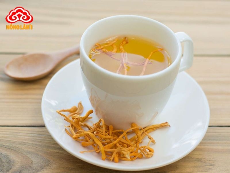 Đông Trùng Hạ Thảo Chống Mệt Mỏi, Suy Nhược Hiệu Quả 11 Pha trà đông trùng hạ thảo