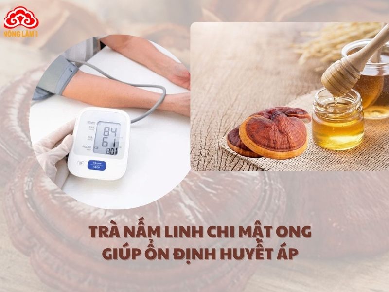 Trà nấm linh chi mật ong giúp ổn định huyết áp