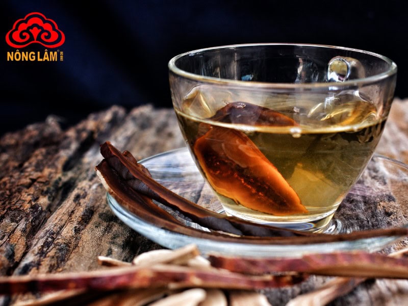 Tác Dụng Hoạt Huyết Của Nấm Linh Chi 15 Hãm trà là phương pháp đơn giản hiệu quả
