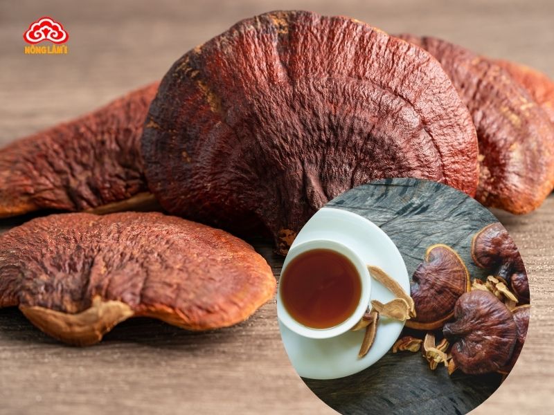 Trị nám da bằng cách uống nước nấm linh chi mỗi ngày