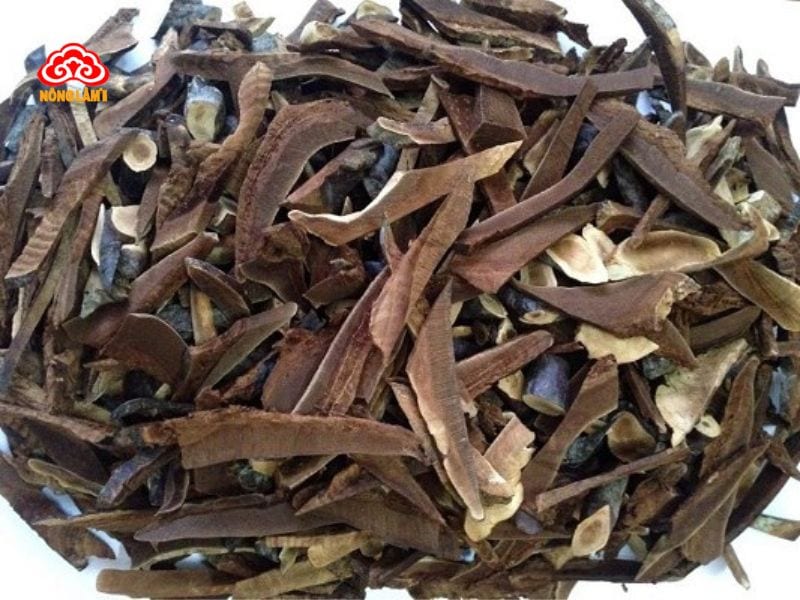 6 Yếu Tố Quyết Định Giá Nấm Lim Xanh Bao Nhiêu 1Kg 12 Phương pháp làm khô nấm là một công đoạn cực kỳ quan trọng