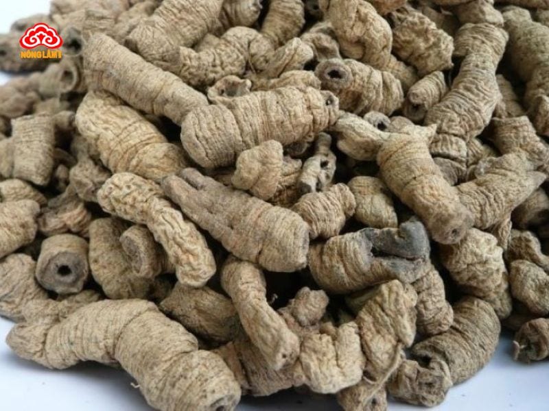 Top 10 Thảo Dược Tăng Cường Sinh Lực Nam Giới Hiệu Quả, An Toàn 24 Ba kích