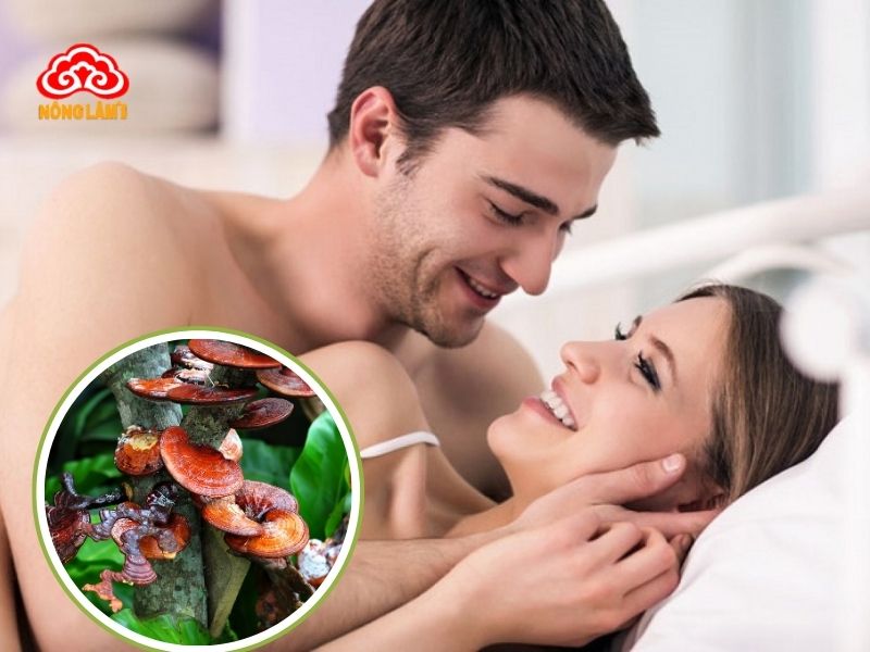 Nấm linh chi giúp cải thiện và tăng cường sức khỏe sinh lý phái mạnh
