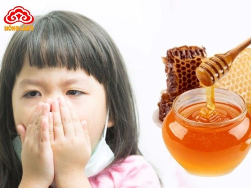 Mật Ong: Thành Phần, Công Dụng, Cách Dùng &Amp; Phân Biệt Thật Giả 14 Lợi ích của mật ong với sức khỏe