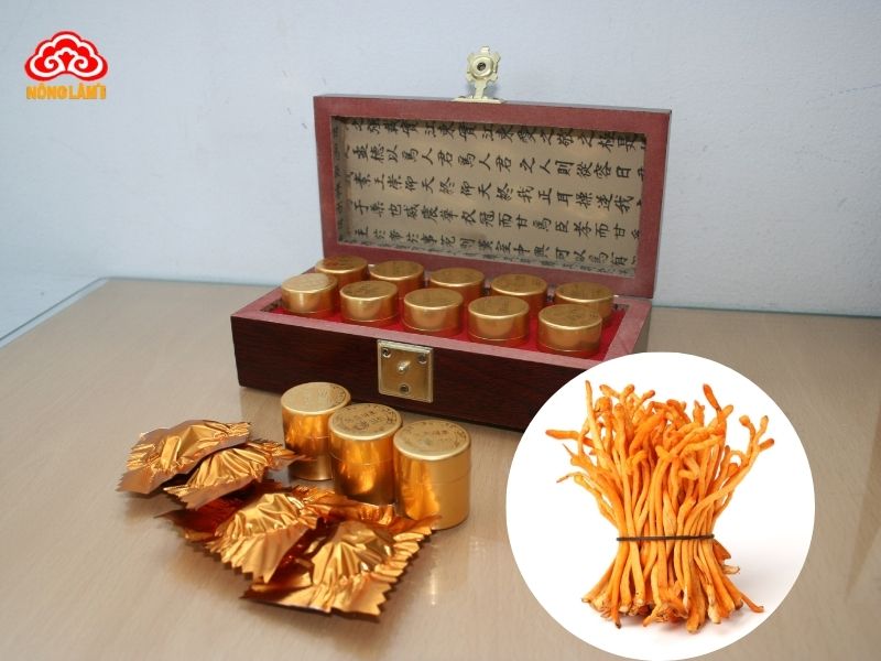 Đông trùng hạ thảo danh nước nguyên chất