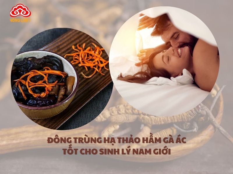 Đông trùng hạ thảo hầm gà ác bổ sung năng lượng, giúp nam giới duy trì phong độ trong sinh hoạt vợ chồng.