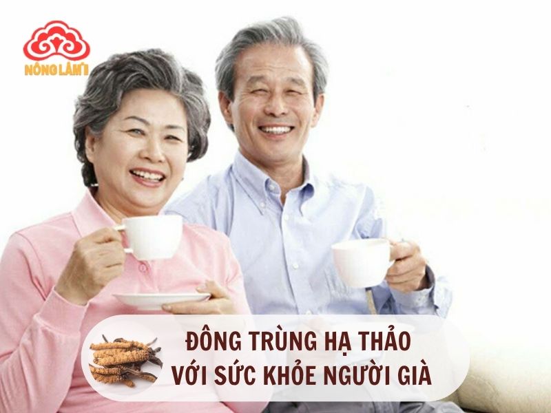 Đông trùng hạ thảo với sức khỏe người già