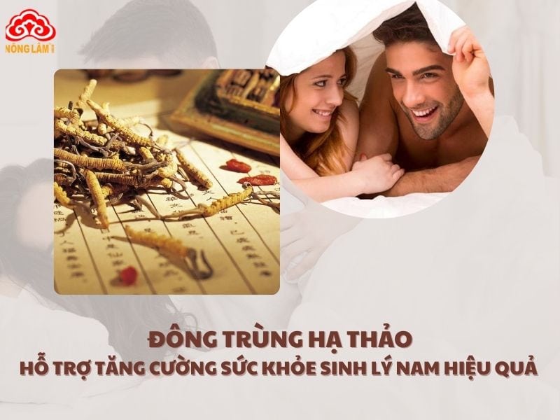 Đông trùng hạ thảo hỗ trợ tăng cường sinh lý nam giới hiệu quả