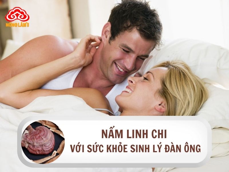 Nấm linh chi với sức khỏe sinh lý đàn ông