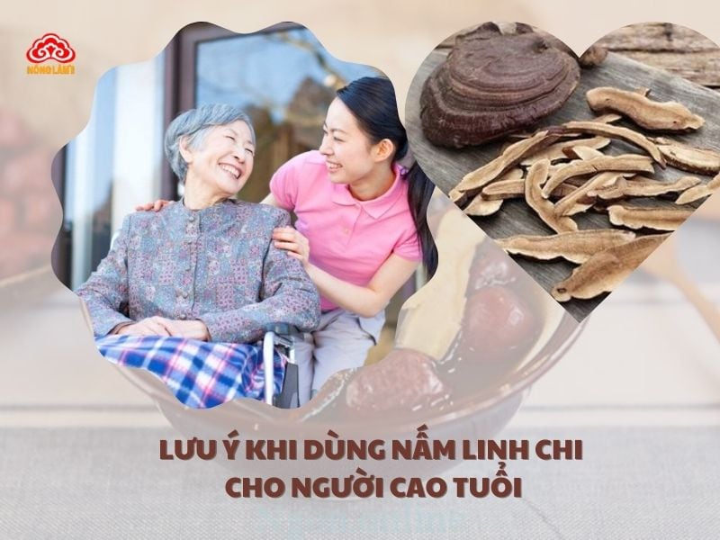 Lưu ý khi dùng nấm linh hci cho người cao tuổi