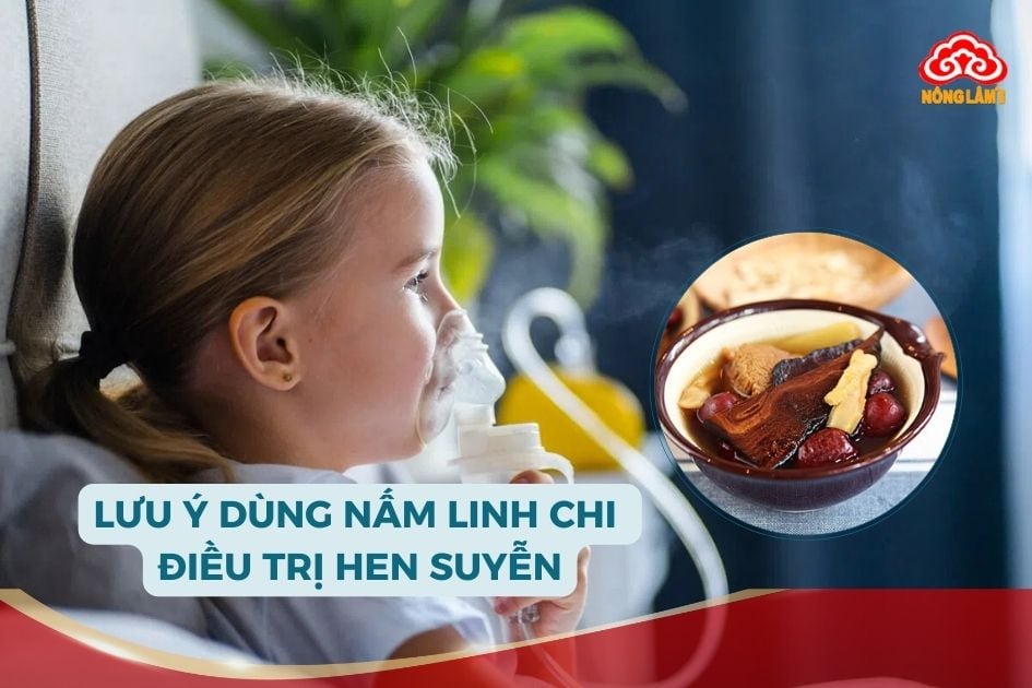 Lưu ý quan trọng khi dùng nấm linh chi cho người hen suyễn