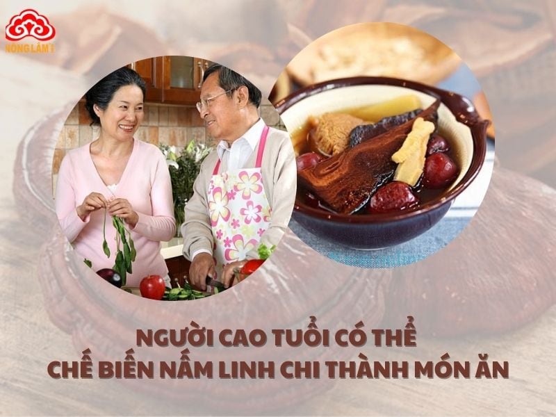 Nấm linh chi có thể được chế biến thành các món ăn bổ dưỡng.