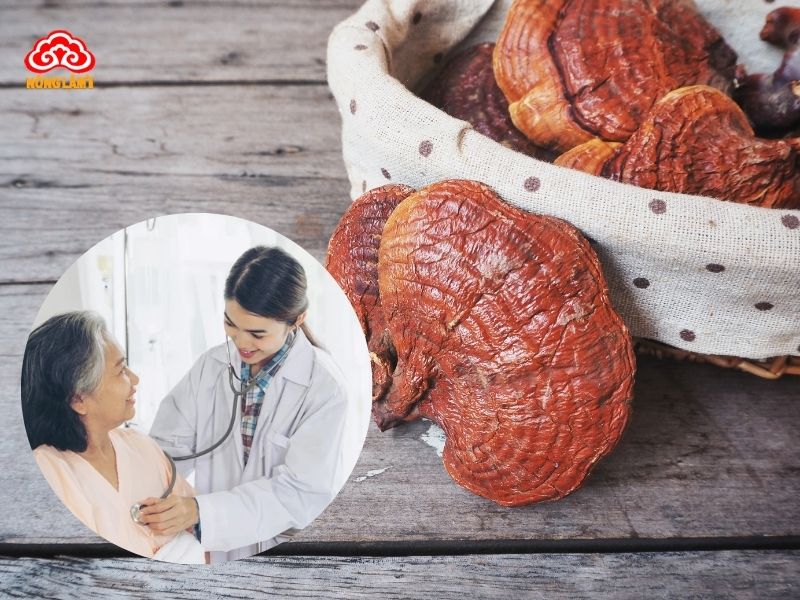 Nấm Linh Chi Hỗ Trợ Phục Hồi Sau Tai Biến Mạch Máu Não 15 Nấm linh chi là thảo dược hỗ trợ phục hồi sau tai biến hiệu quả
