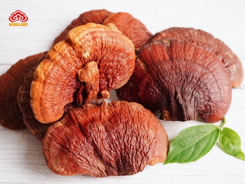 Top 10 Thảo Dược Tăng Cường Sinh Lực Nam Giới Hiệu Quả, An Toàn 20 Nấm linh chi