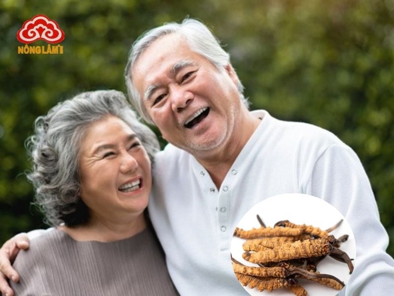 Đông trùng hạ thảo có nhiều lợi ích với sức khỏe người già