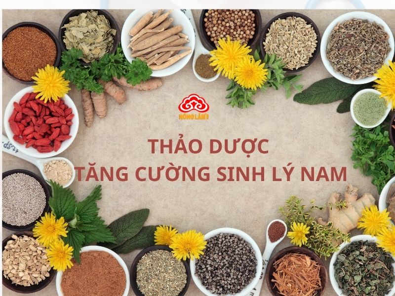 Top 10 Thảo Dược Tăng Cường Sinh Lực Nam Giới Hiệu Quả, An Toàn 16 Thảo dược tăng cường sức khỏe sinh lý nam