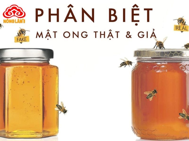 Mật Ong: Thành Phần, Công Dụng, Cách Dùng &Amp; Phân Biệt Thật Giả 18 Hướng dẫn phân biệt mật ong thật giả