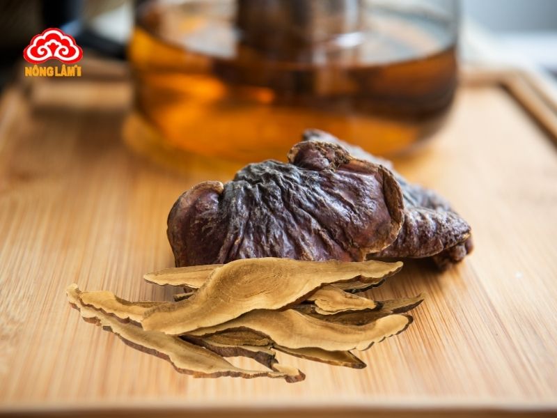 Nấm linh chi được cả y học cổ truyền và y học hiện đại chứng minh có lợi ích tốt với sức khỏe sinh lý nam