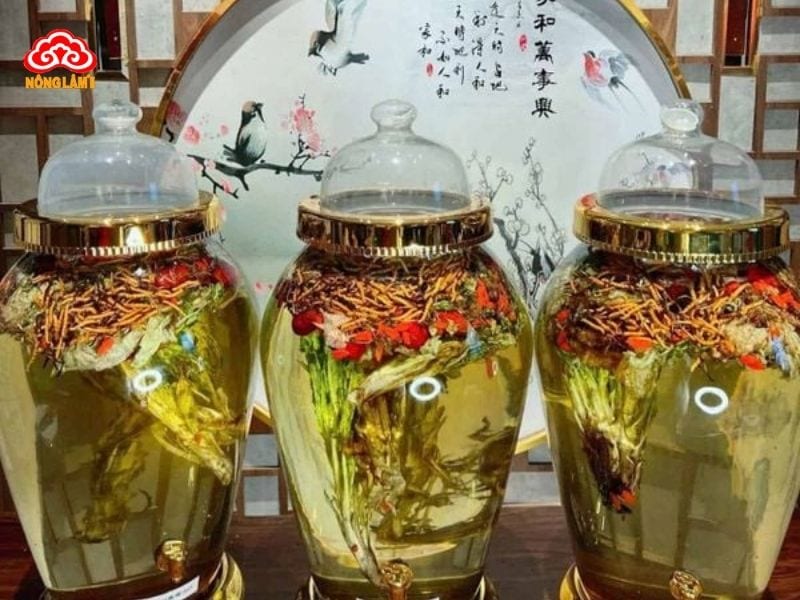 Rượu ngâm đông trùng hạ thảo với kỷ tử