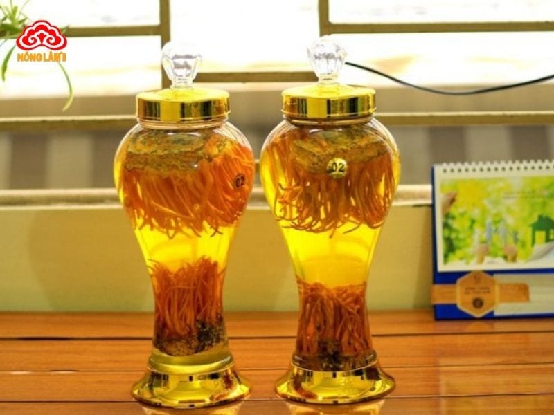 Rượu ngâm đông trùng hạ thảo nguyên chất