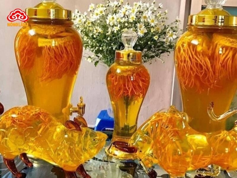 Rượu đông trùng hạ thảo có nhiều lợi ích với sức khỏe