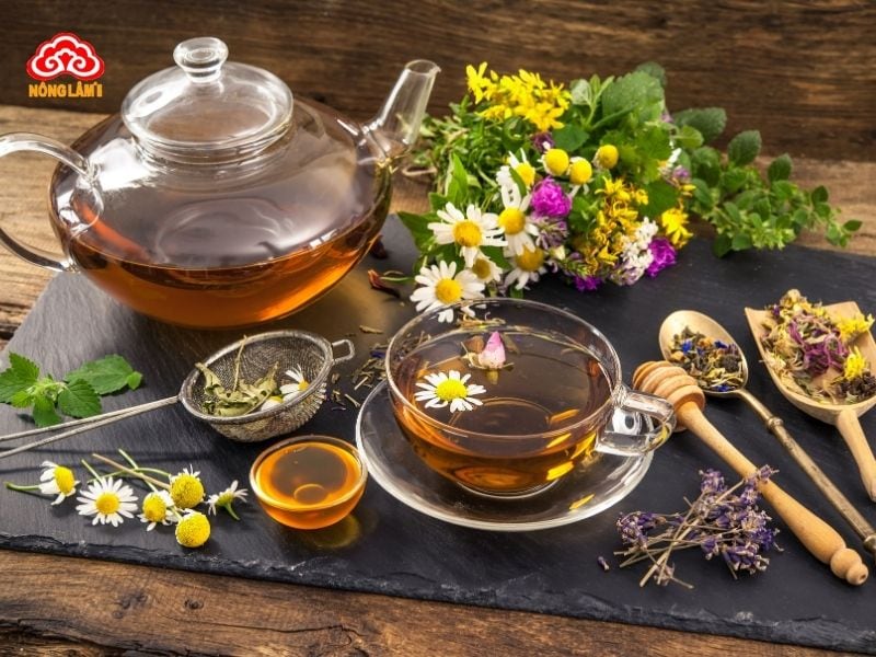 Nấm Linh Chi Hỗ Trợ Phục Hồi Sau Tai Biến Mạch Máu Não 14 Thảo dược được sử dụng trong y học cổ truyền giúp phục hồi sau tai biến