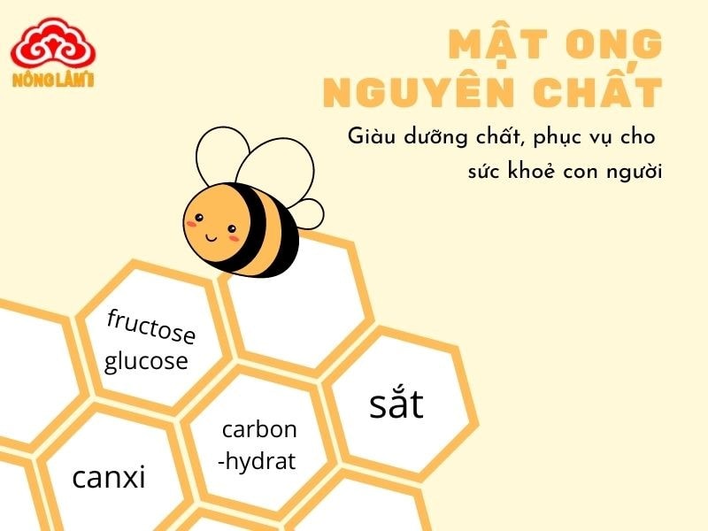 Mật Ong: Thành Phần, Công Dụng, Cách Dùng &Amp; Phân Biệt Thật Giả 13 Thành phần dinh dưỡng của mật ong