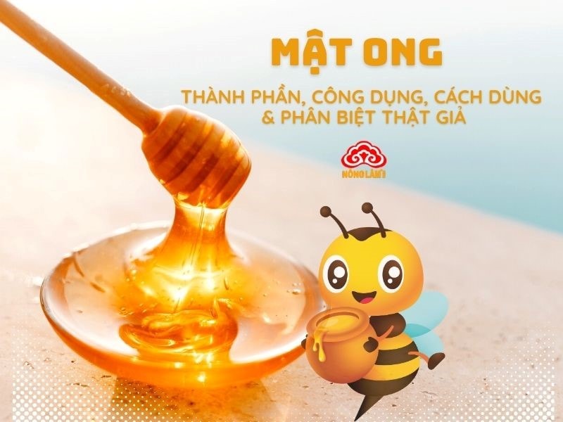 Mật Ong: Thành Phần, Công Dụng, Cách Dùng &Amp; Phân Biệt Thật Giả 10 Tìm hiểu về mật ong: thành phần, công dụng, cách dùng & phân biệt thật giả