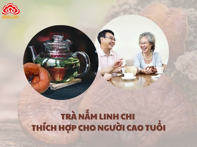 Các loại trà nấm linh chi kết hợp với một số thảo dược tốt cho người cao tuổi