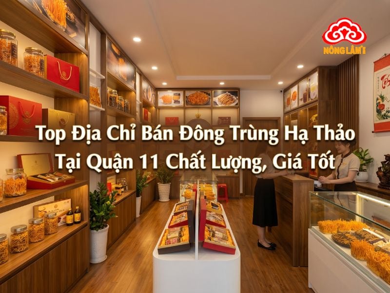 Top địa chỉ bán đông trùng hạ thảo quận 11 uy tín